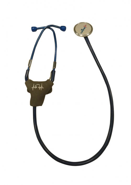 Accesorio para estetoscopio de cuero